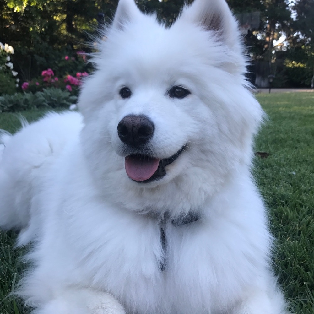 Meet your Posher, Jackie